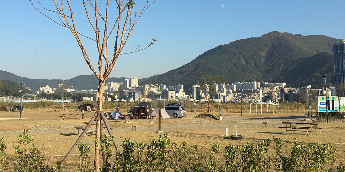 대저생태공원 캠핑장의 모습