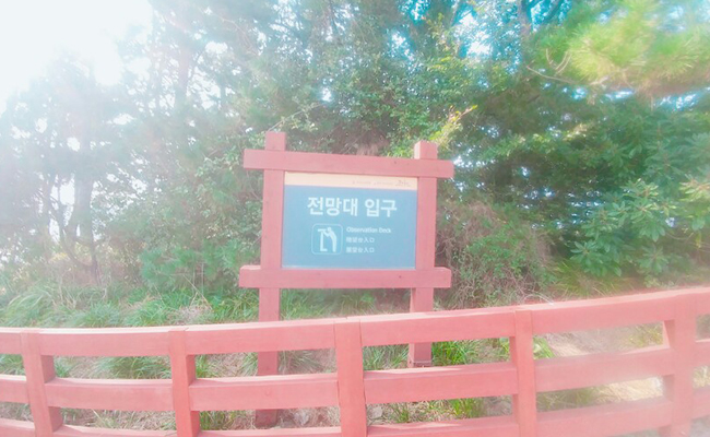 전망대 입구 -전망대를 두근두근 찾아가면 바다만 봐도 이미 관광은 끝난 느낌이다.