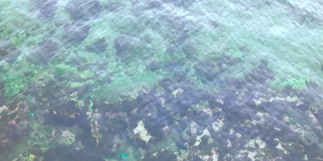 맑은 광안리 바다