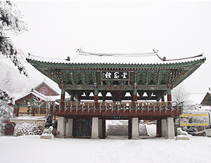 금강문(금강루)
