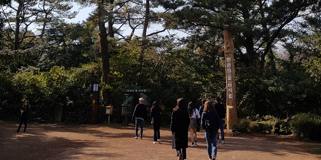 비자림_전경