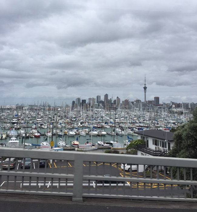 Harbour Bridge에서 볼 수 있는 Auckland 주변을 감싸고 있는 수많은 요트들과 요트 선착장